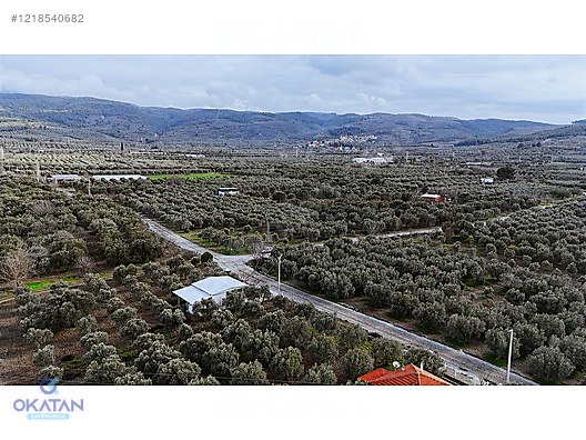 YAZLIK YAPILAN BİR BÖLGEDE ASVALT YOLUMEVCUT TAKAS OLUR