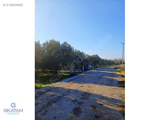 YAZLIK YAPILAN BİR BÖLGEDE ASVALT YOLUMEVCUT TAKAS OLUR