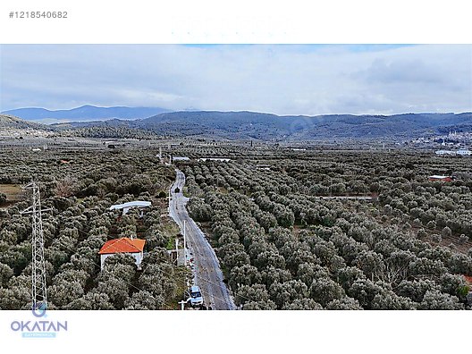 YAZLIK YAPILAN BİR BÖLGEDE ASVALT YOLUMEVCUT TAKAS OLUR